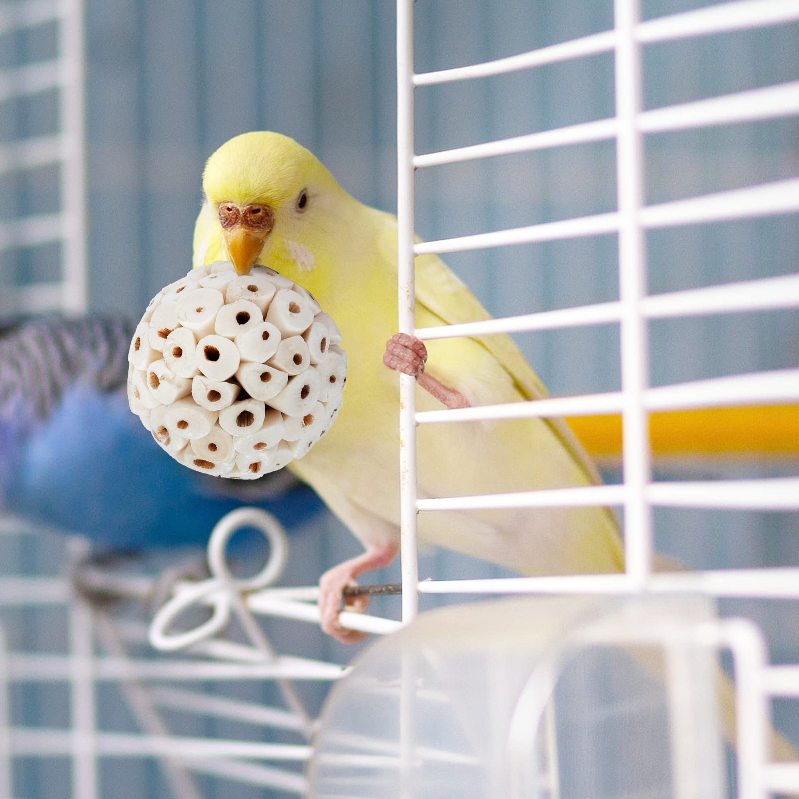 andwe Sola Ball bird interaction on stand suggests engagement and play