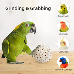 andwe Sola Ball foraging inside shot highlighting treat-stuffing potential