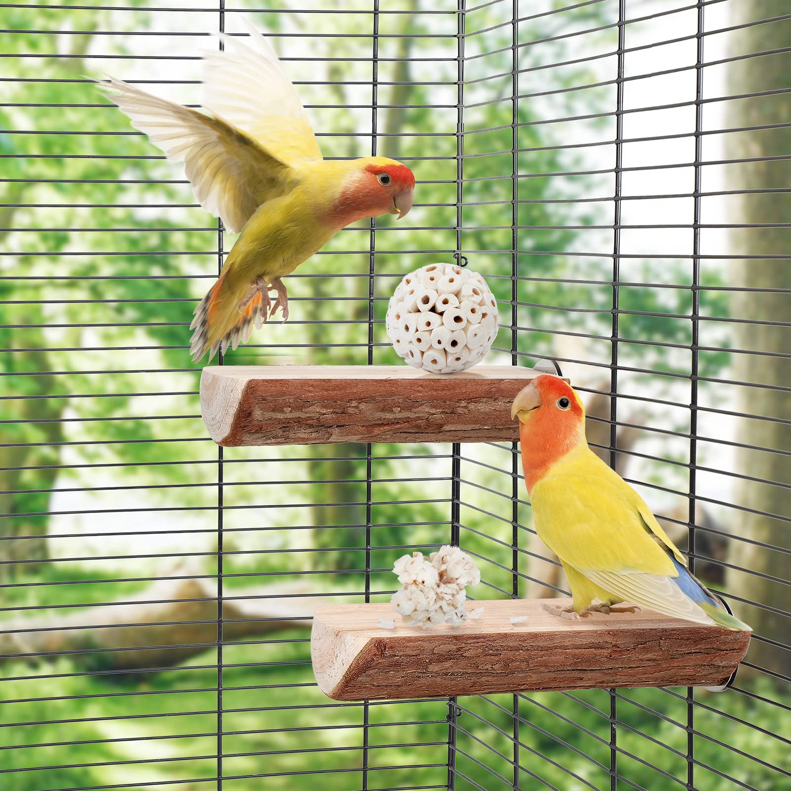andwe Sola Ball treat-stuffing in toy demonstrates DIY enrichment