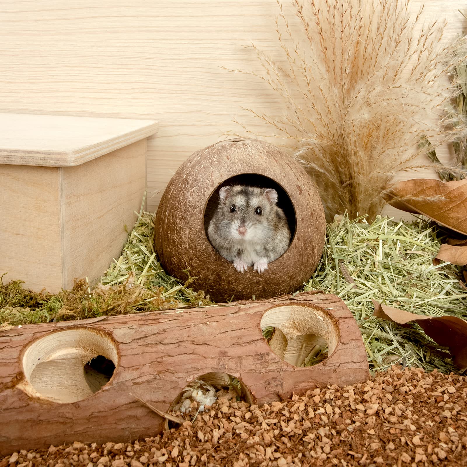 andwe coconut hut easy access entrance simplifies in-and-out retreat.
