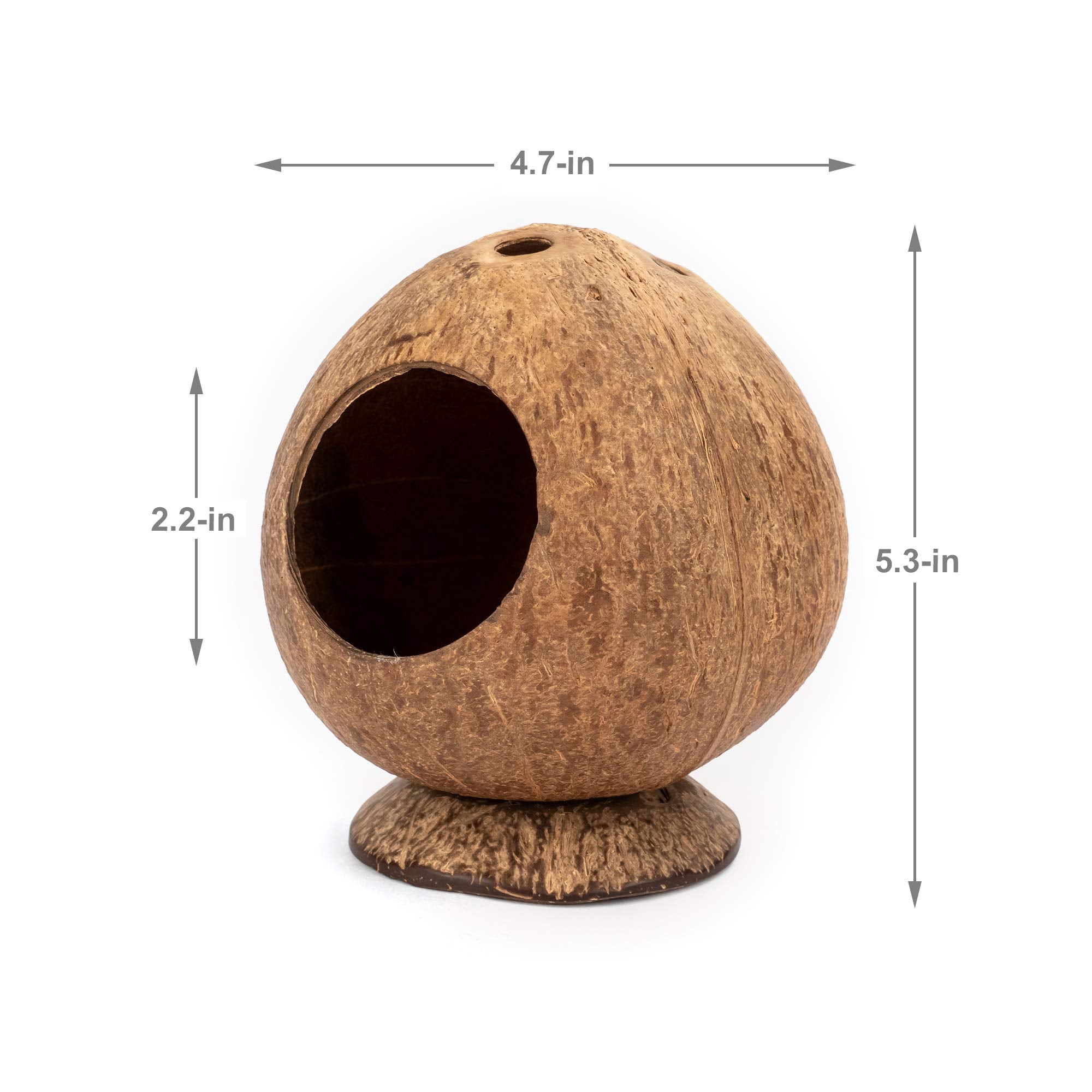 andwe coconut hut easy daily-use design for quick setup and cleaning.