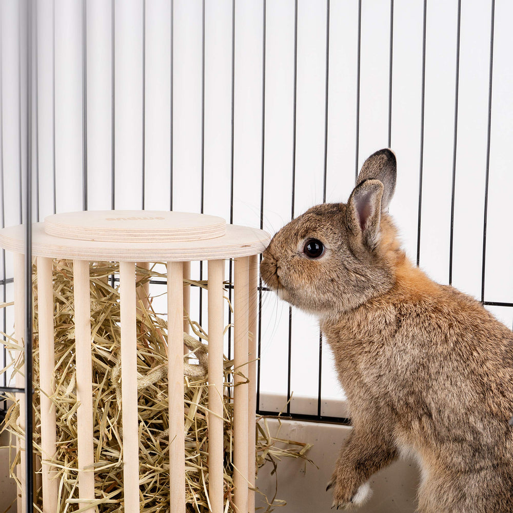 andwe hay feeder 0.5-lb-capacity keeps hay accessible during busy days.