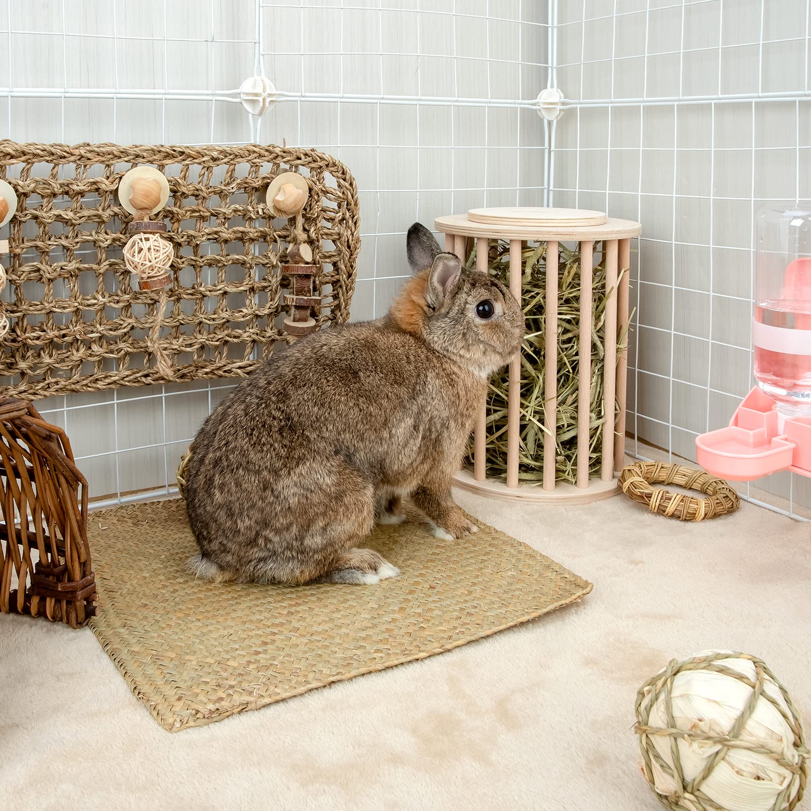 andwe hay feeder standing-hay-dispenser mounted in a cage for tidy feeding.