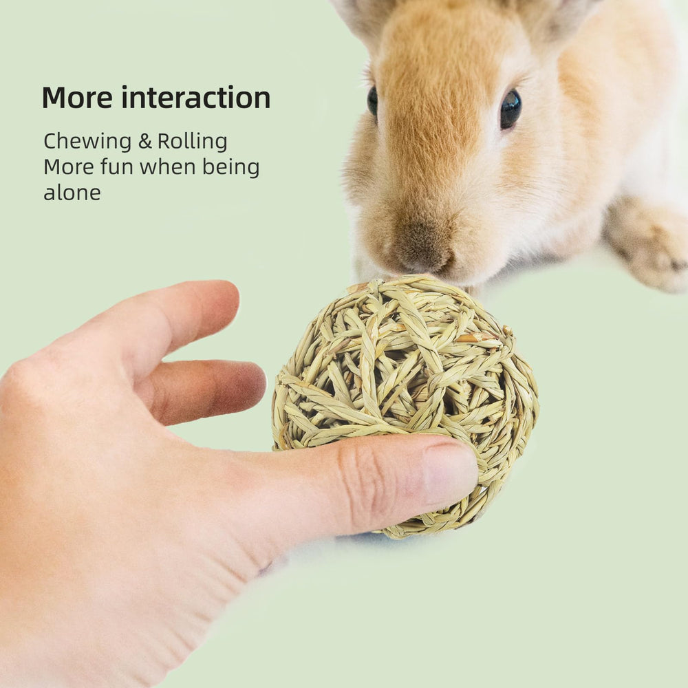 andwe natural materials chew balls willow twigs seagrass promote safe chewing