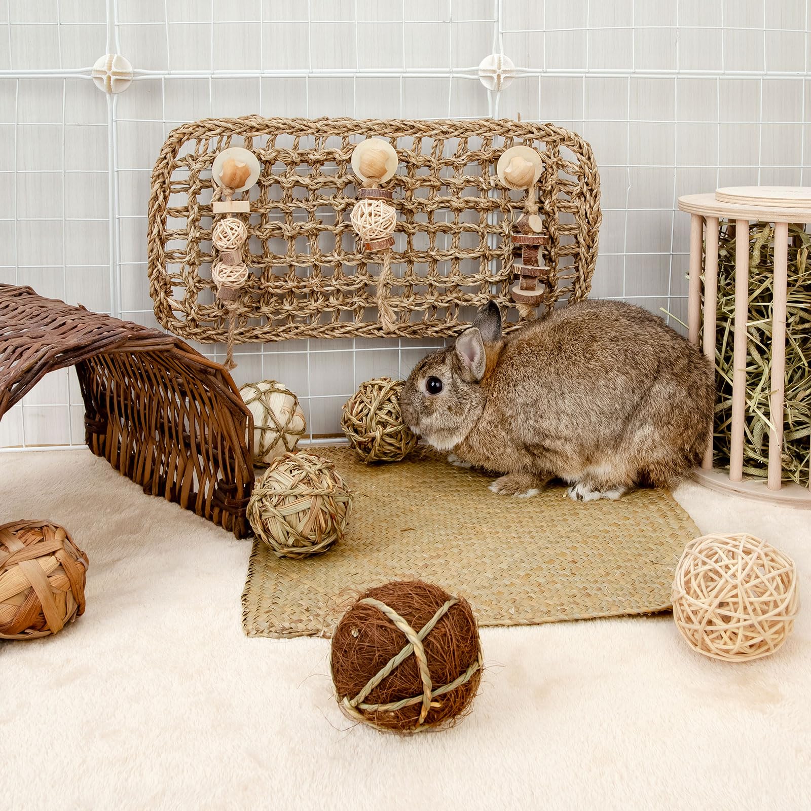 andwe pack nine handmade balls for varied rodent entertainment