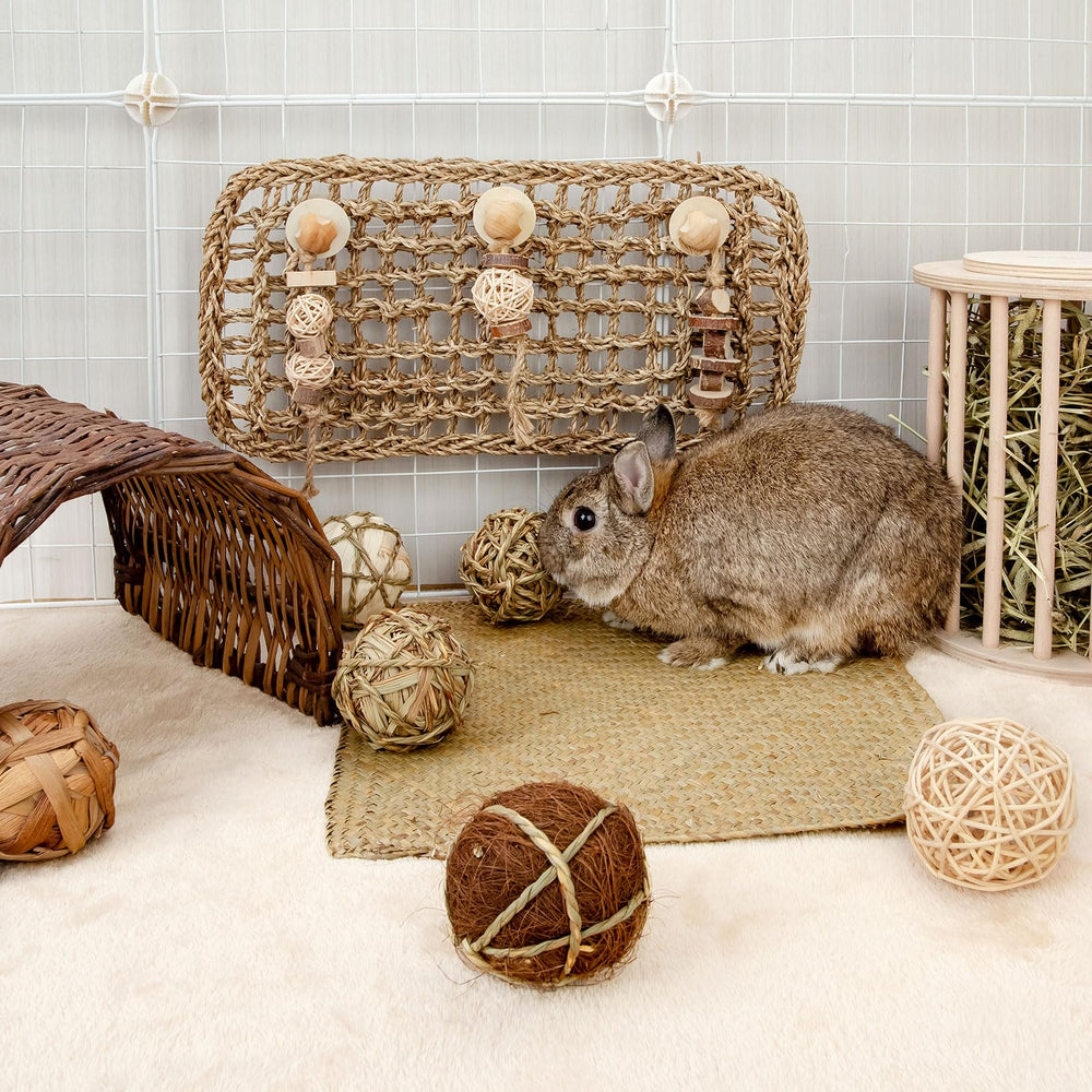 andwe pack nine handmade balls for varied rodent entertainment