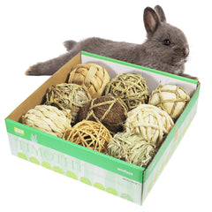 andwe play balls rolling chew toys for rabbits demonstrate engaging cage play and curiosity