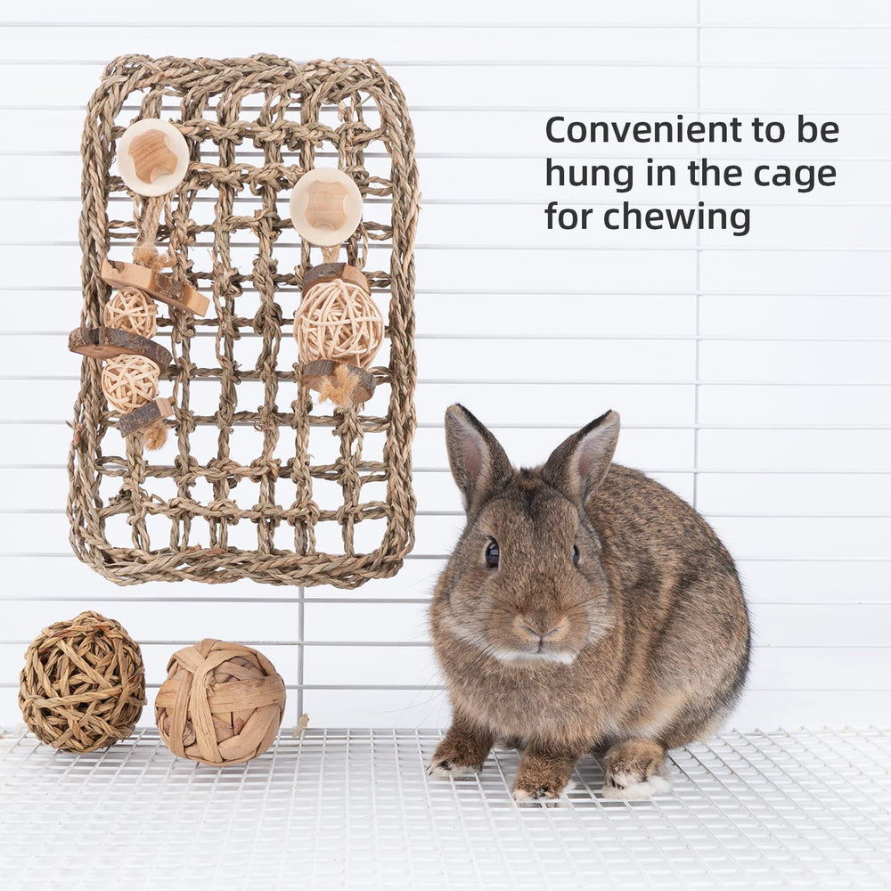andwe Seagrass Protector Mat chinchilla play feature for mental and physical exercise