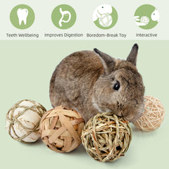 andwe small animals foraging ball chinchilla encourages exploring and snack-based play