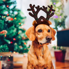 Close-up of Aneco reindeer headband elastic adjustable design for secure wear during play.