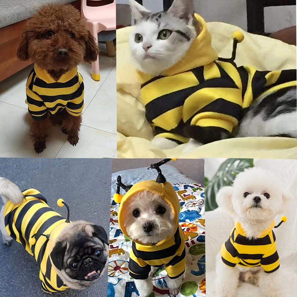 Anelekor Apto para Halloween y Navidad, uso festivo para mascotas.