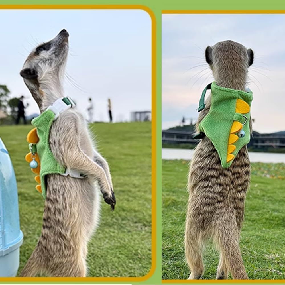 Anelekor harness with leash and bell supports anti-lost pet safety.