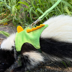 Anelekor harness with safety bell and long leash during outdoor walks.