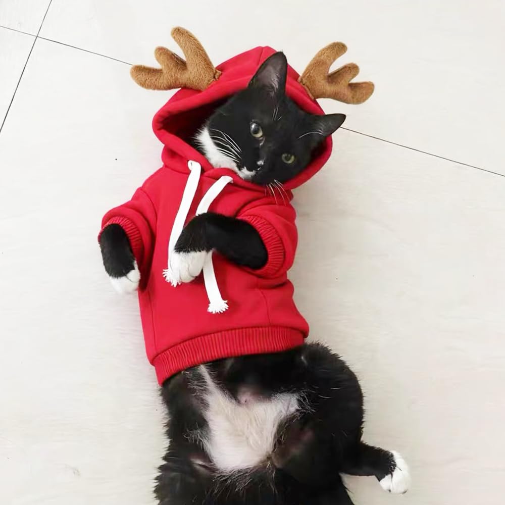 Anelekor holiday costume suitable for cats and small dogs