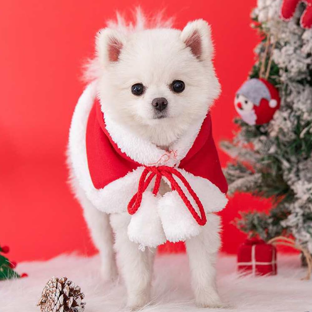 Anelekor hooded puppy cape showcasing extra warmth on cold days