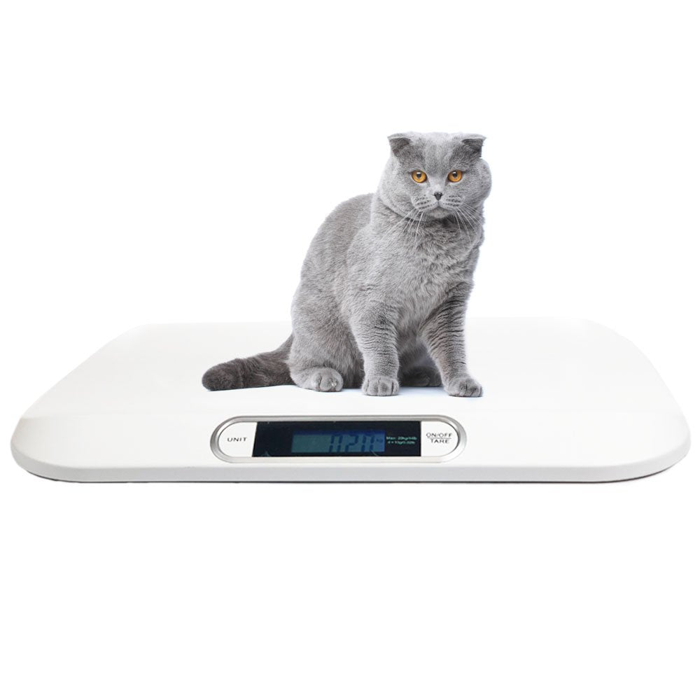 Angel cat-scale flat-top design offers a comfortable, stress-free weighing surface for pets.
