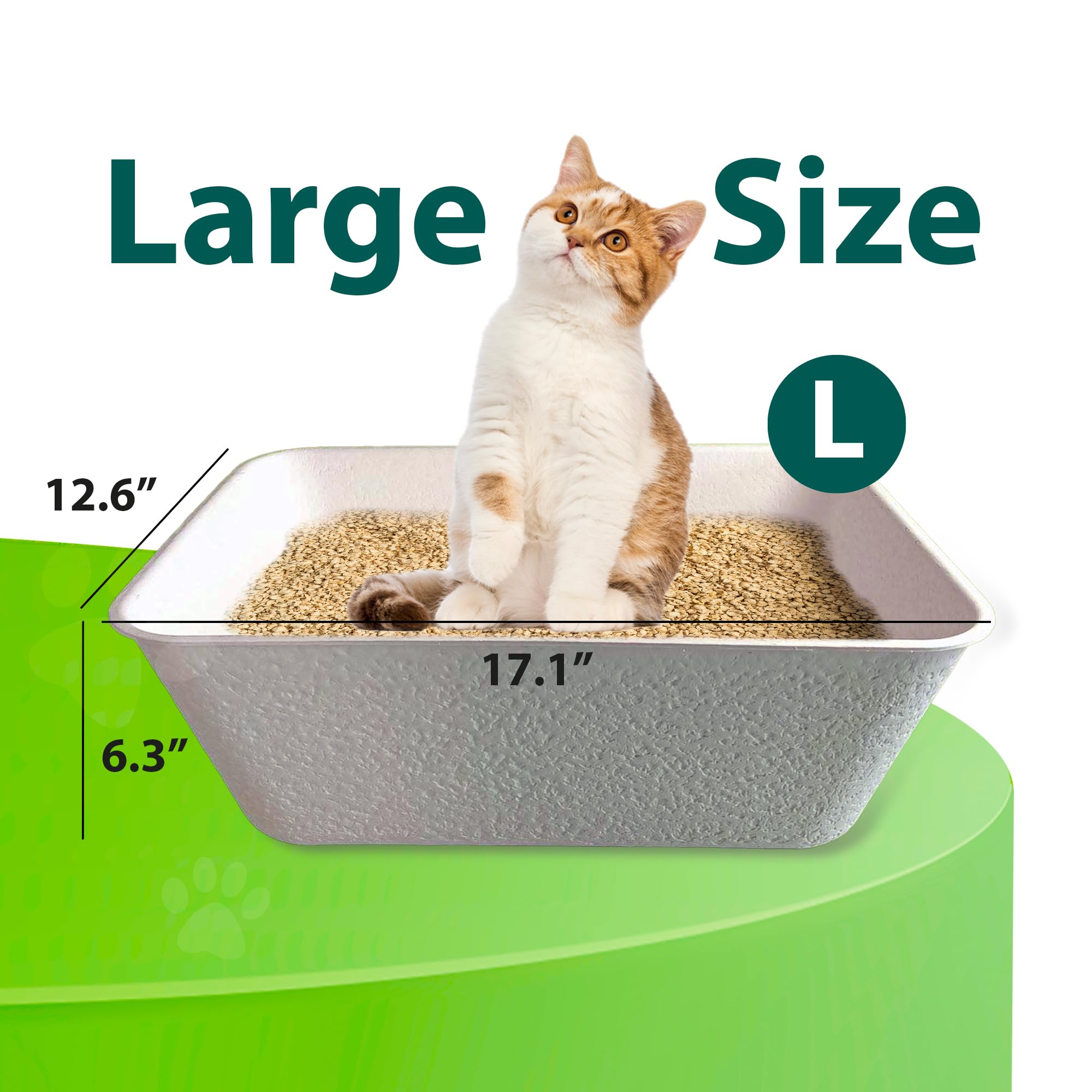 ANGELYCIA baking soda odor-control design provides fresher litter box sessions.