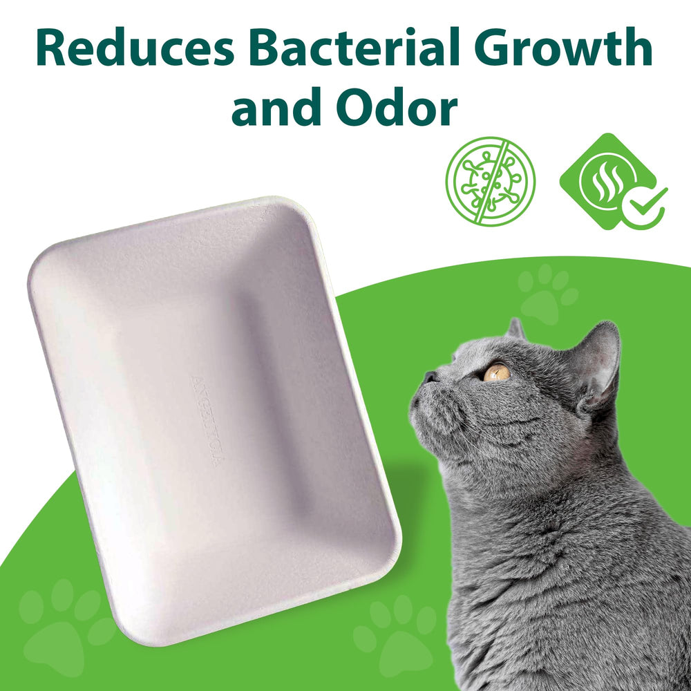 ANGELYCIA durable, leakproof material supports sturdy tray handling.