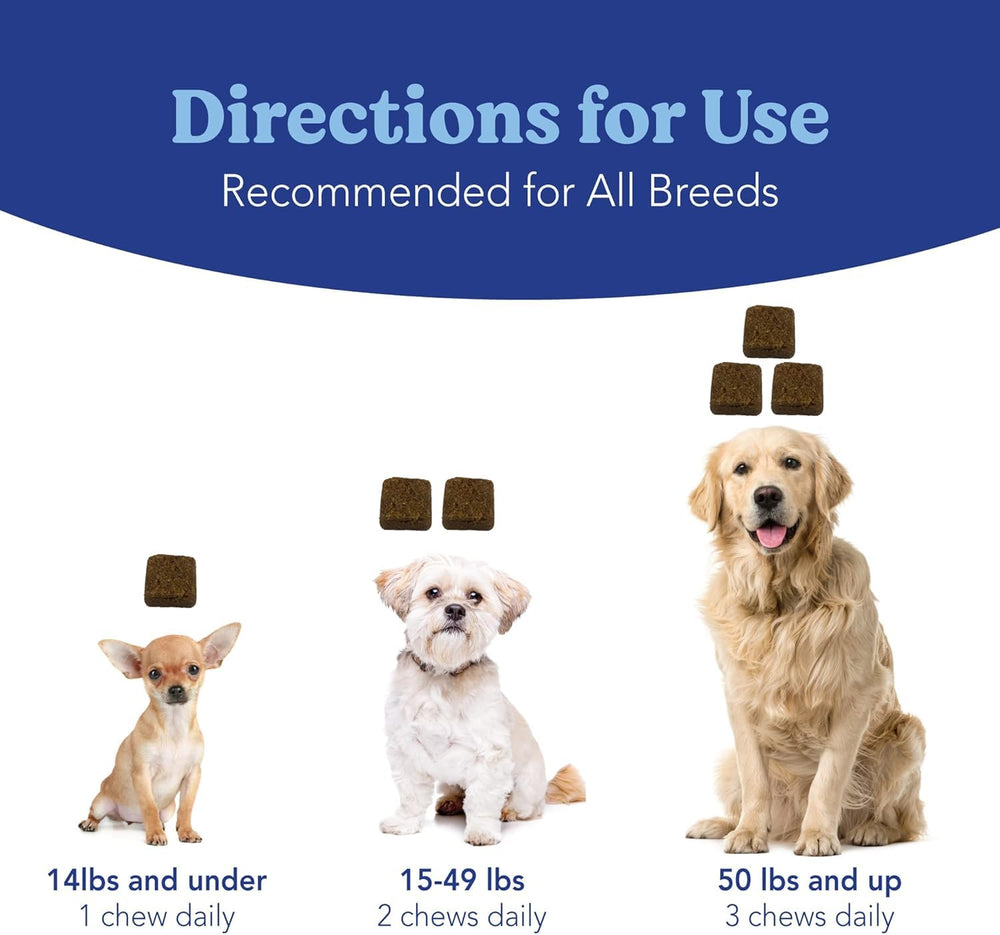 Angels' Eyes USA-made NASC-certified label—quality and safety for dogs.