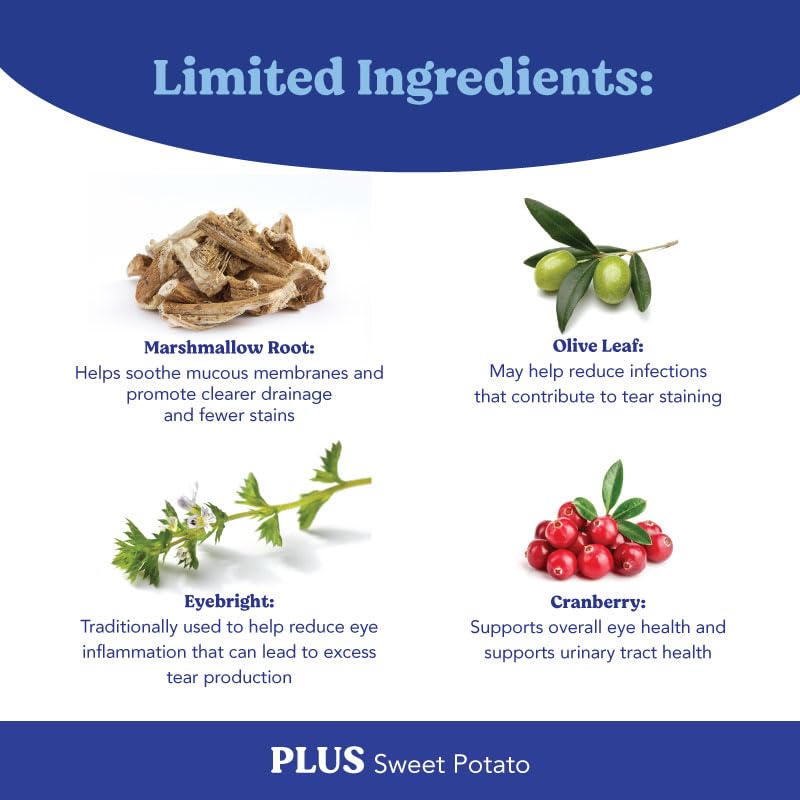 Angels’ Eyes Natural Plus Sweet Potato dog formula highlights vegetarian-friendly, palatable option