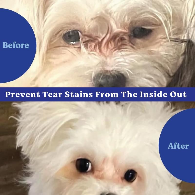 ANGELS' EYES Natural Plus packaging image conveys USA-made quality and trusted tear stain support.