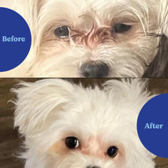 ANGELS' EYES natural tear stain chews packaging front for USA-made quality