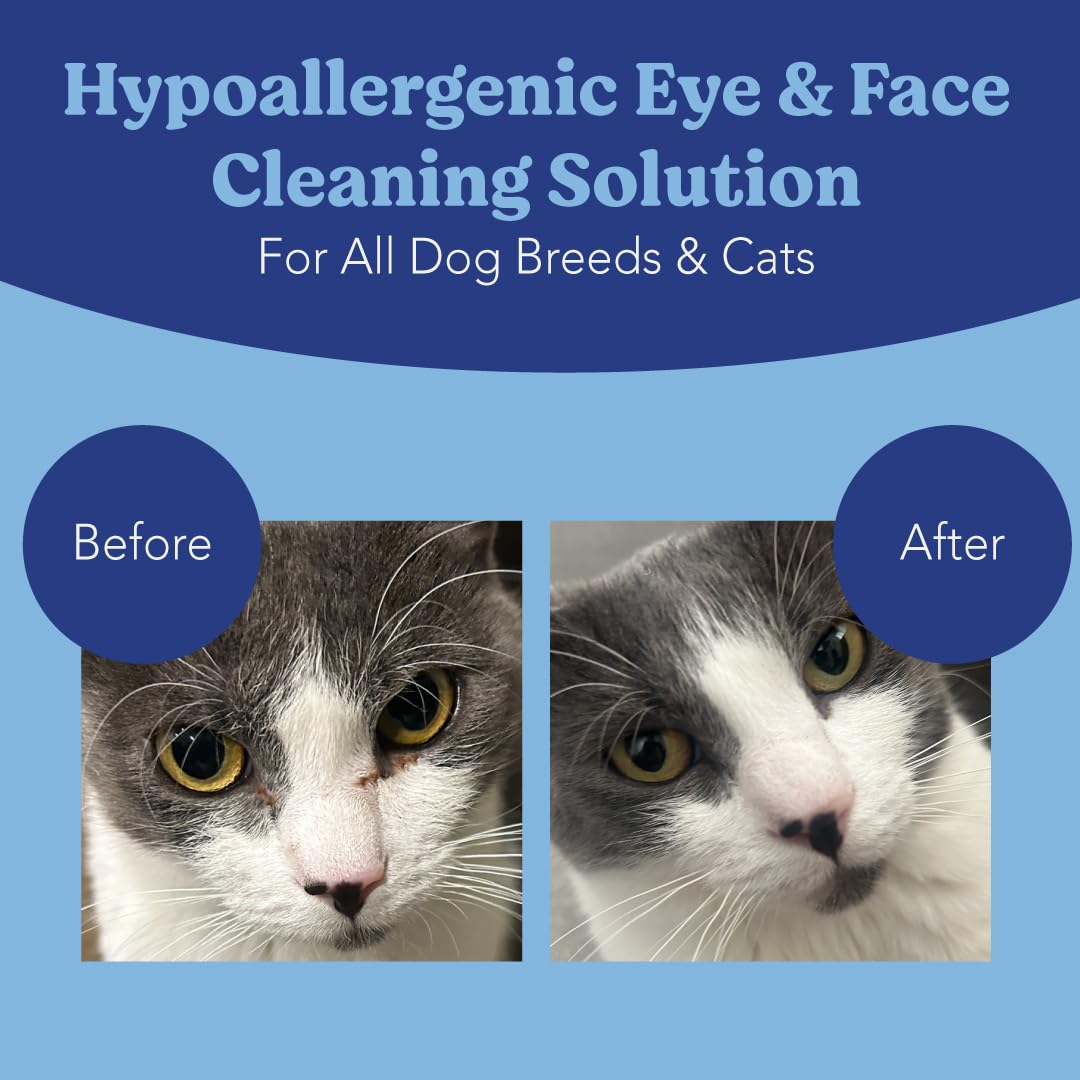 ANGELS' EYES wipe used around a dog's eye area for daily cleansing