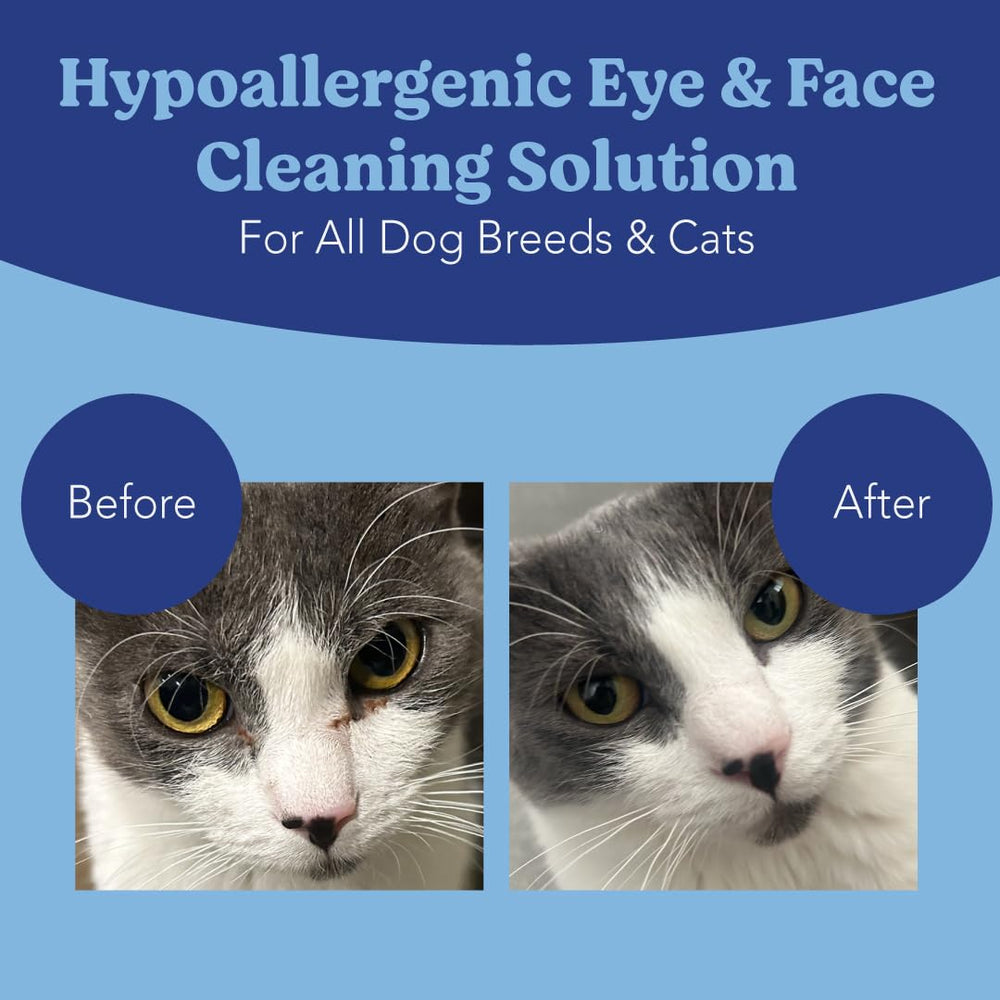 ANGELS' EYES wipe used around a dog's eye area for daily cleansing