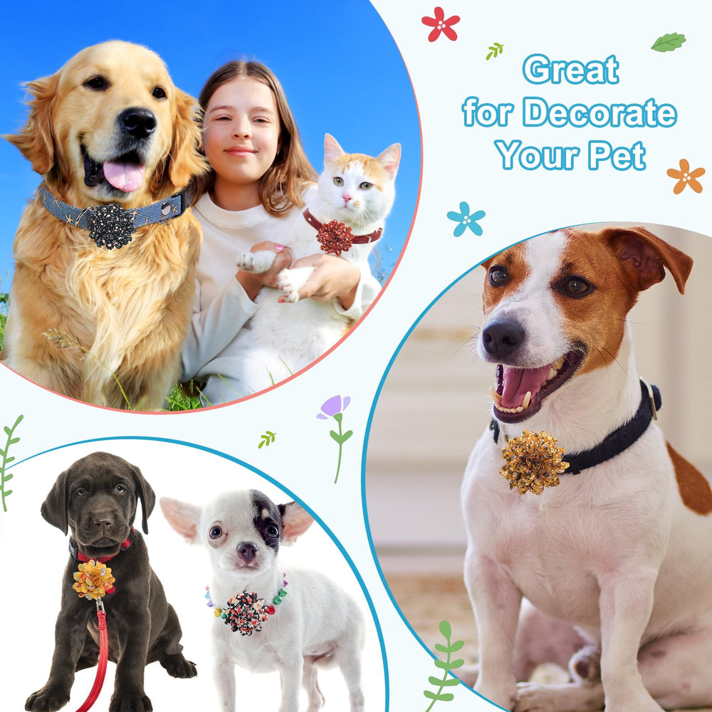 Anglekai pet collar decoration clip provides easy on-off customization.