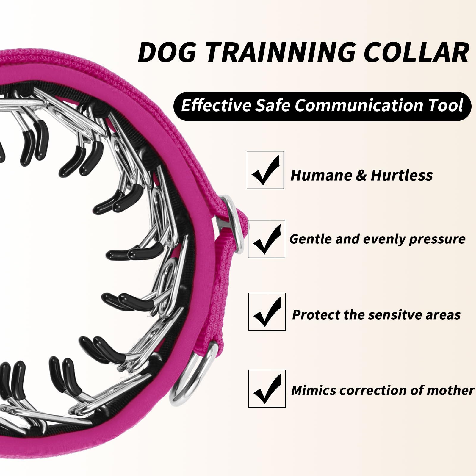 Anglevate Collar reflective strips at night boost visibility and safety.