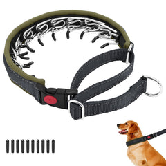 Anglevate Martingale Collar for dogs hero image showing secure fit on walks