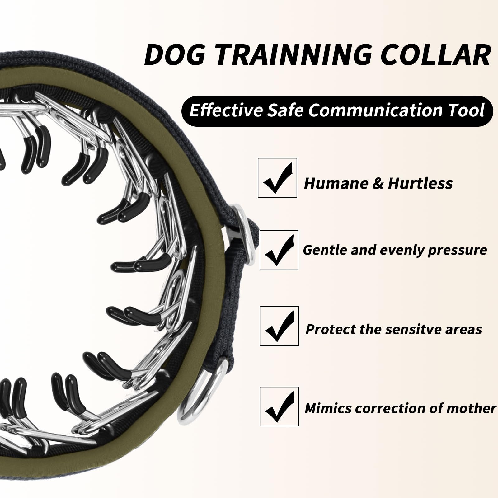 Anglevate Martingale Collar rust-proof stainless steel chain for durability on adventures