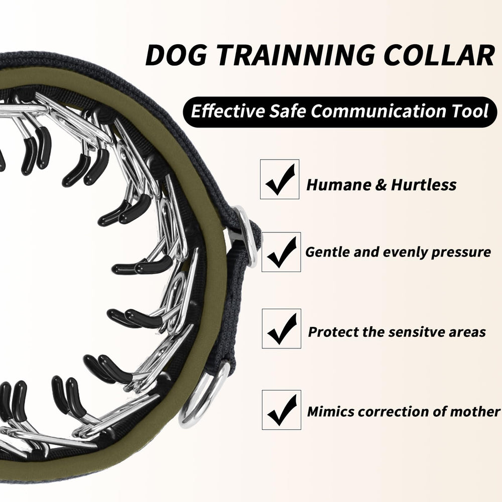 Anglevate Martingale Collar rust-proof stainless steel chain for durability on adventures