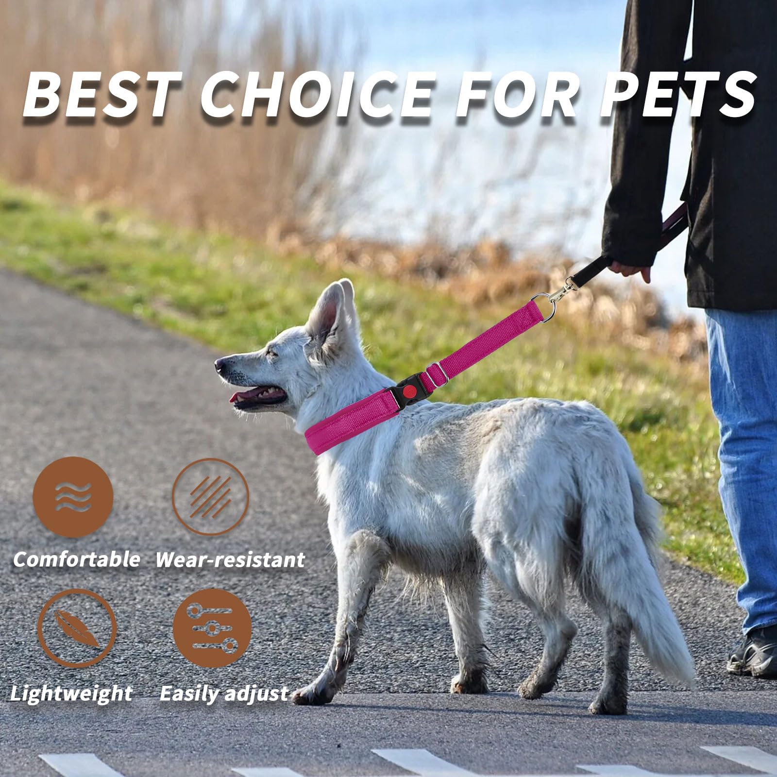 Anglevate pink Martingale collar supports steady walking with restraint.