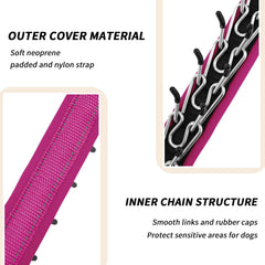 Anglevate Martingale collar with reflective strips increases visibility during evening walks.