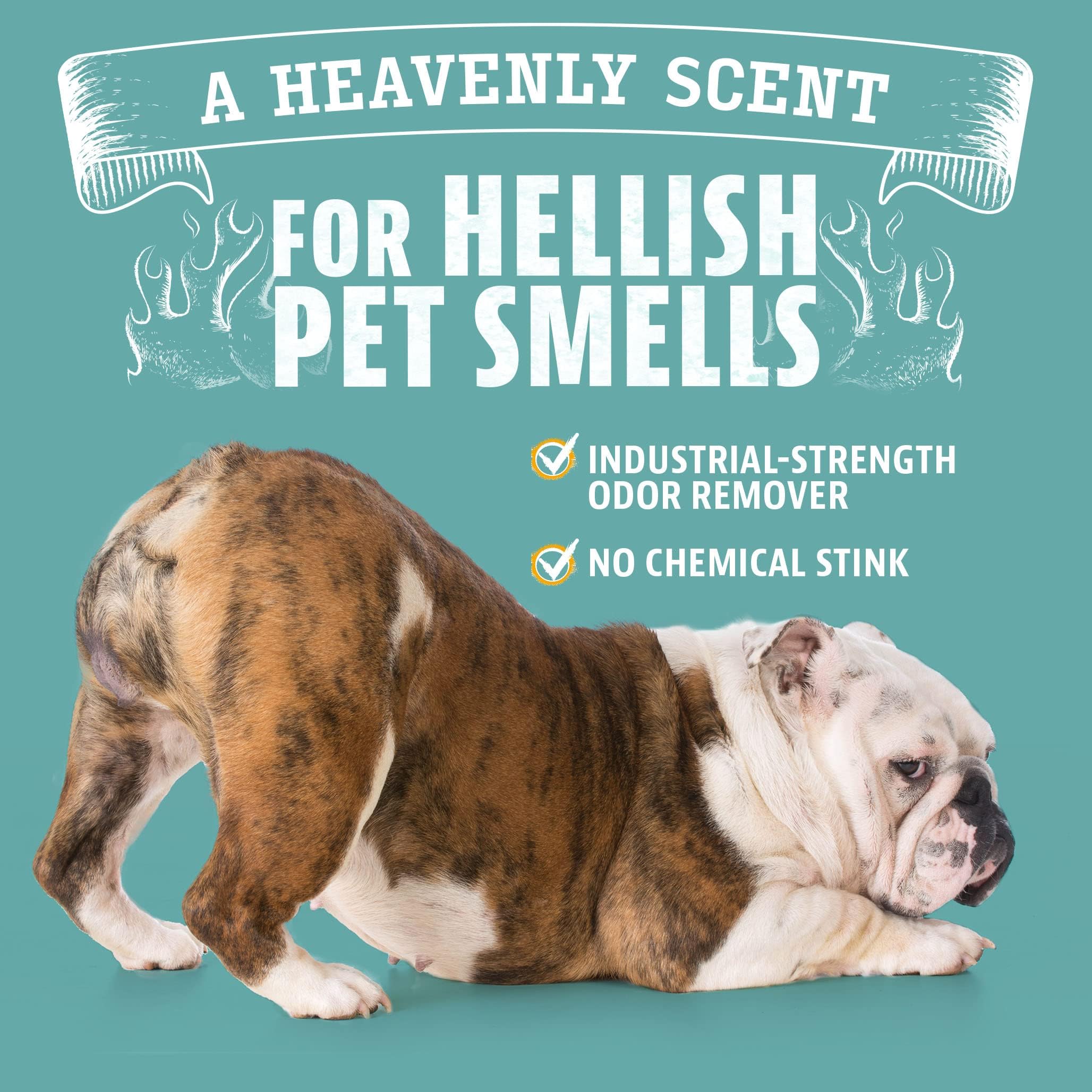 Angry Orange citrus scent lingering after cleaning session