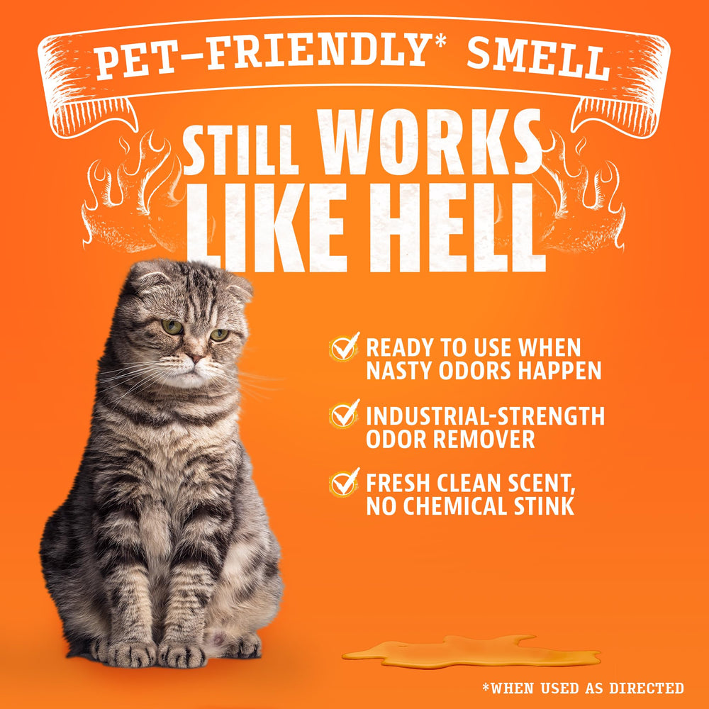 ANGRY ORANGE Pet Odor Eliminator room scent conveys refreshing pet-friendly control