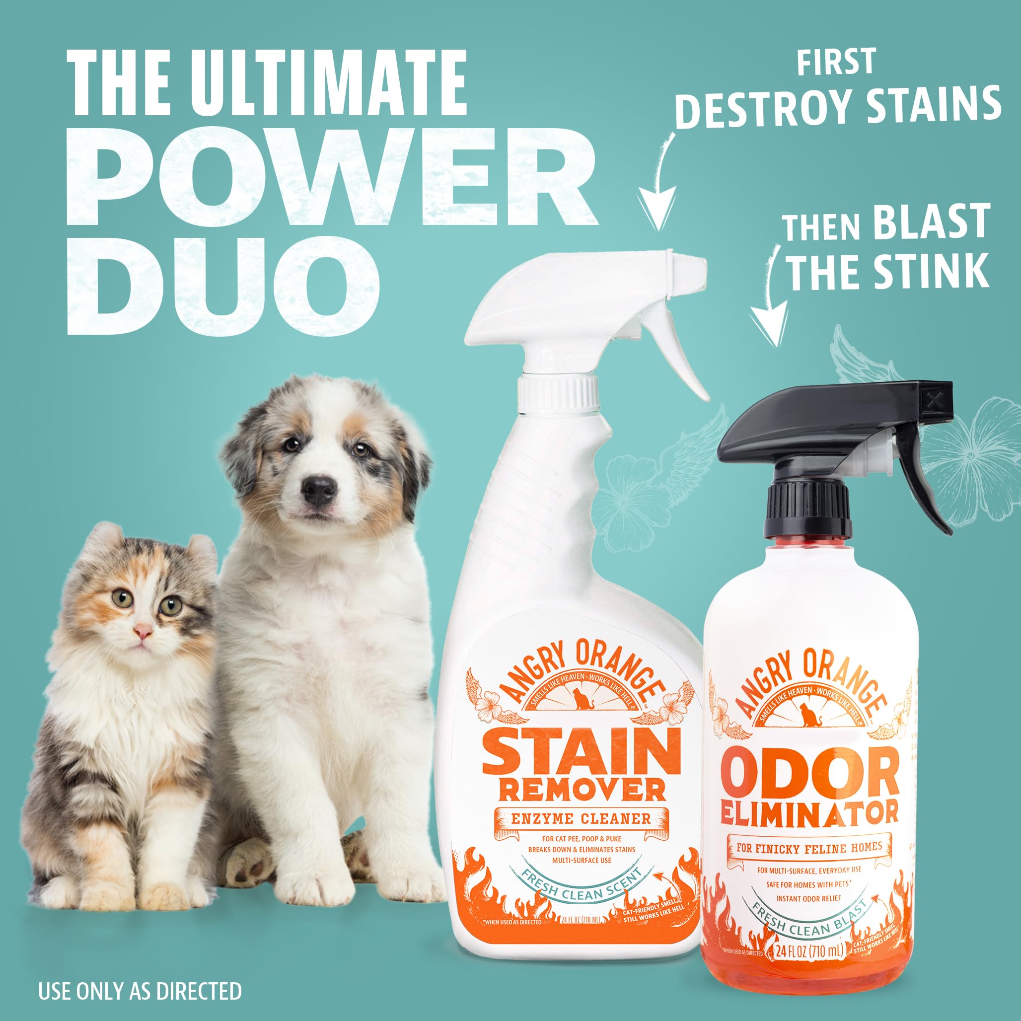 ANGRY ORANGE Pet Odor Eliminator stain removal demo