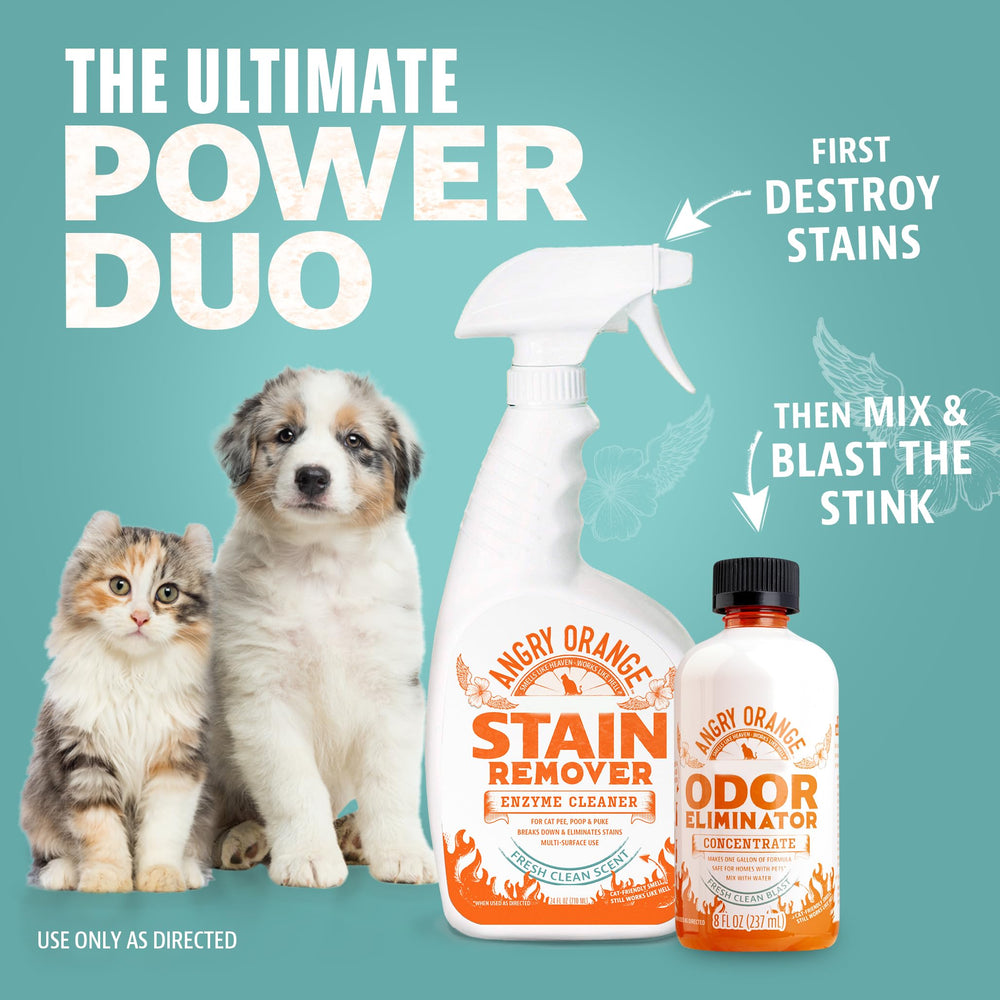Angry Orange turf and patio odor control near outdoor surface.