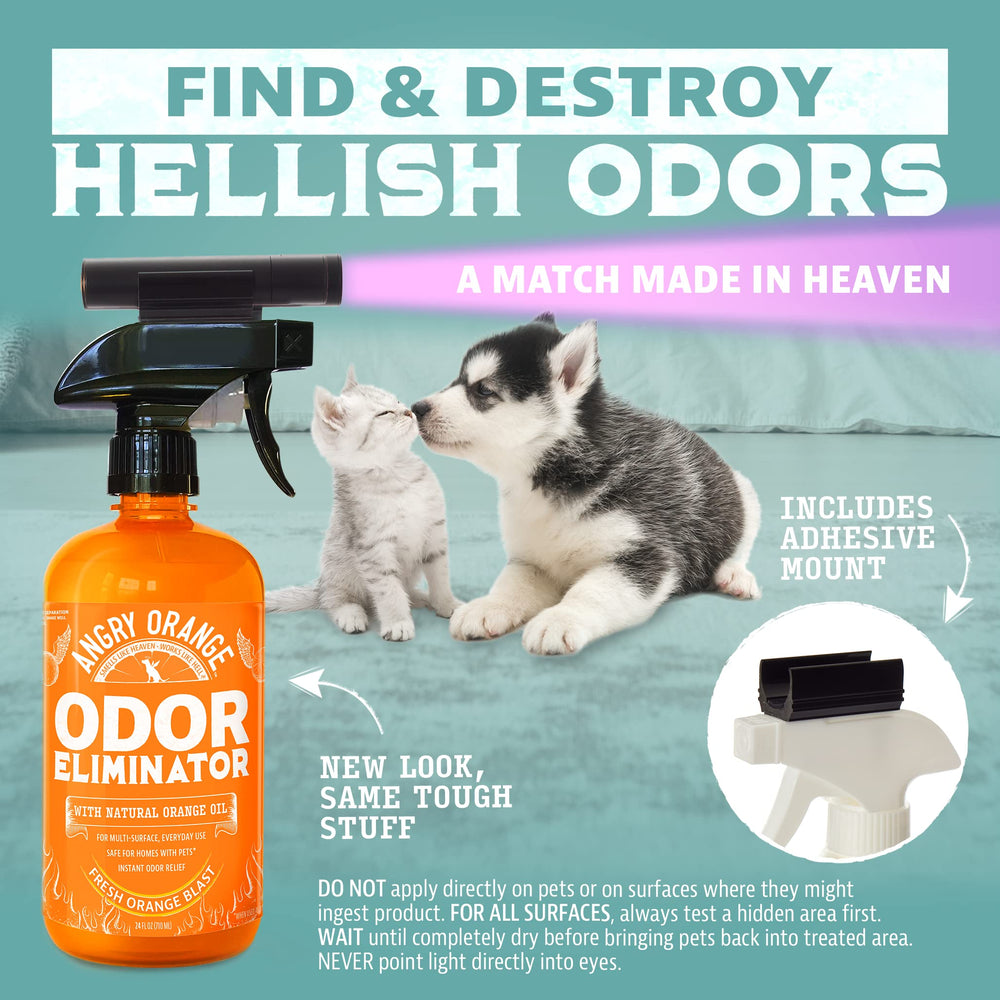 ANGRY ORANGE UV blacklight flashlight highlights hidden pet stains for thorough treatment