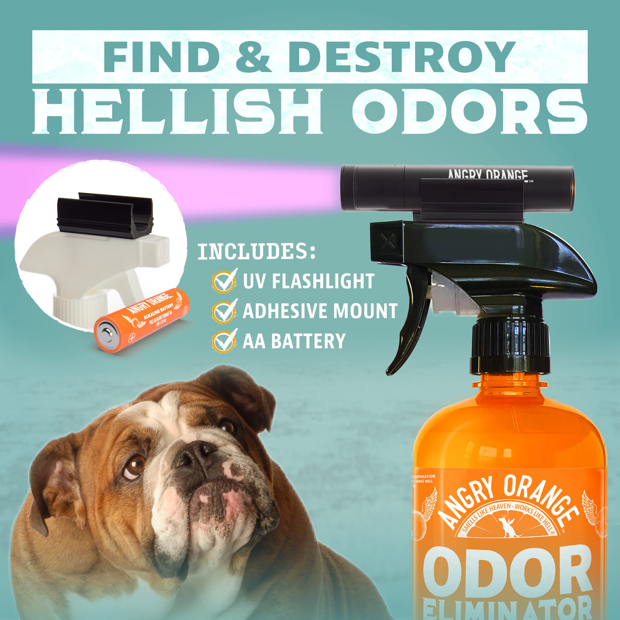 Angry Orange UV Flashlight in hand enables on-the-spot stain checks.