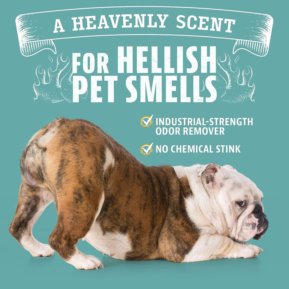 ANGRY ORANGE value pack two bottles highlights convenient cleaning supply
