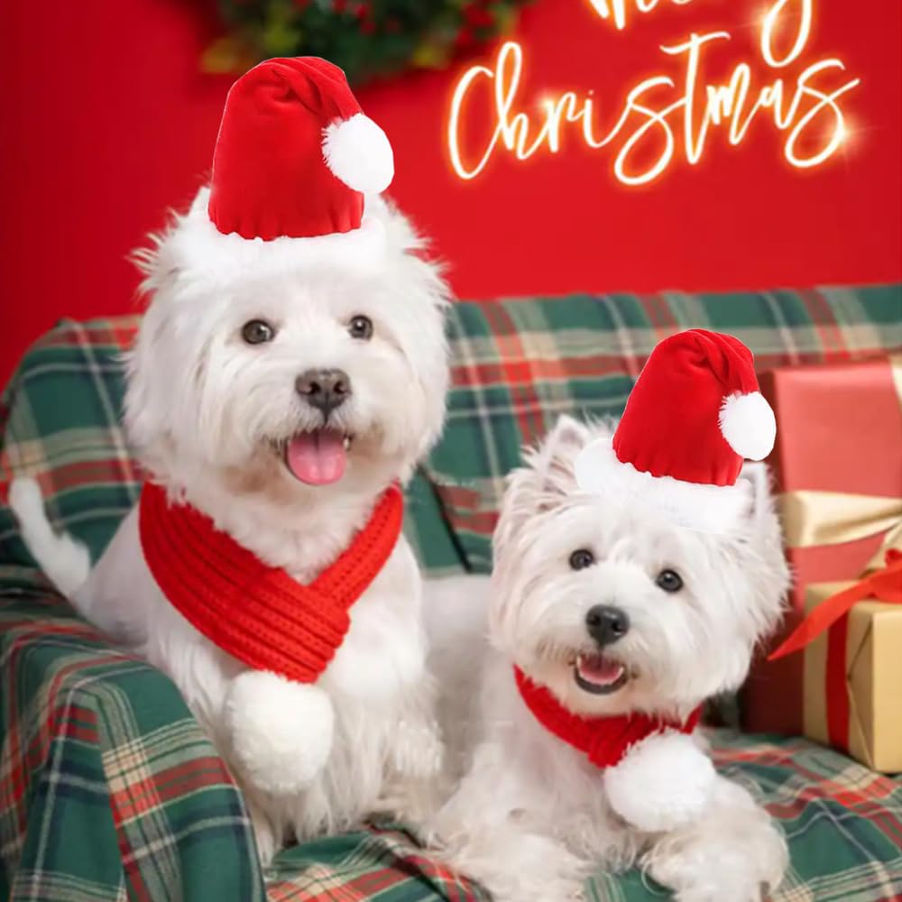ANIAC cat and dog friendly-fit set, easy dressing for pets.