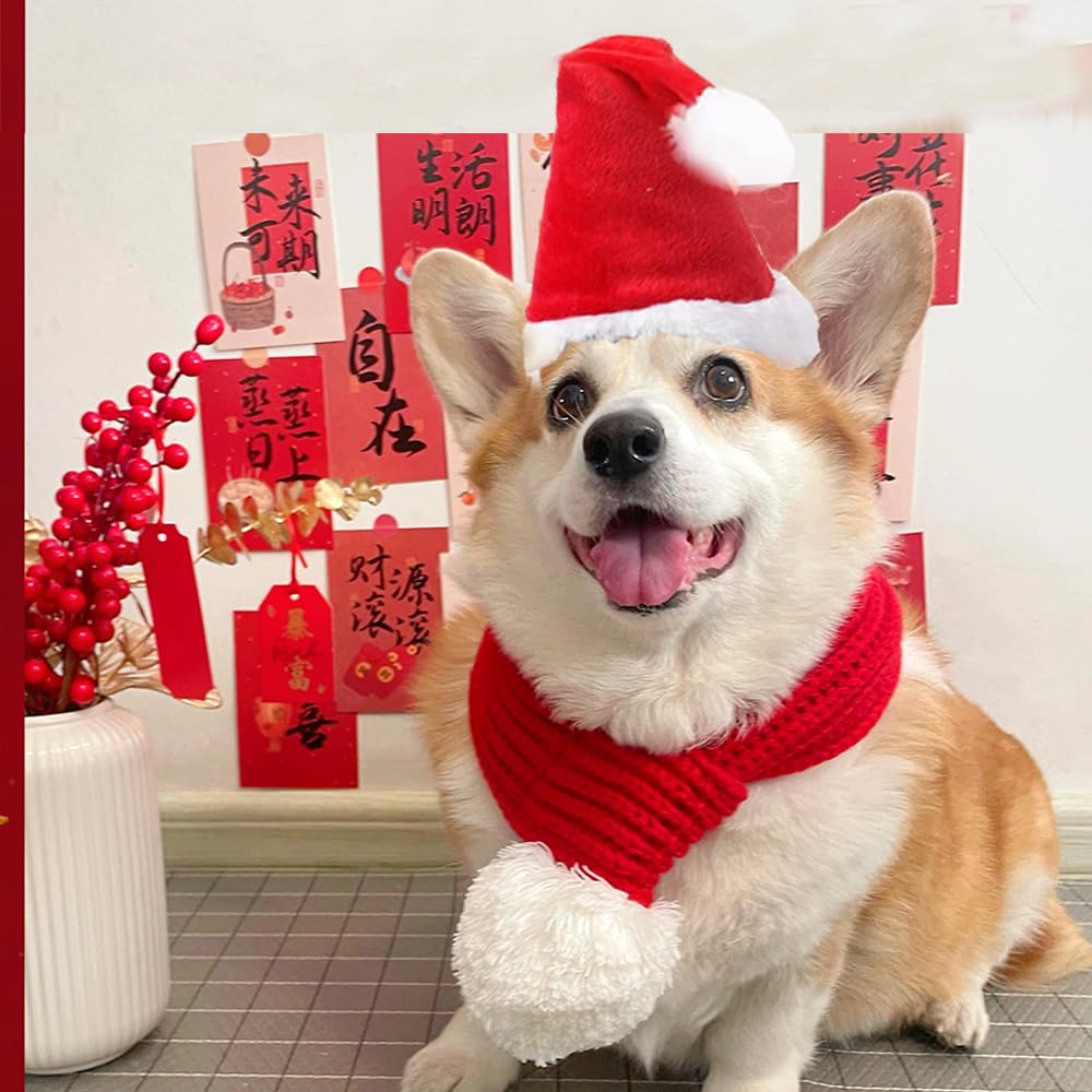 ANIAC Christmas design with plush pom-pom, charming holiday detail.