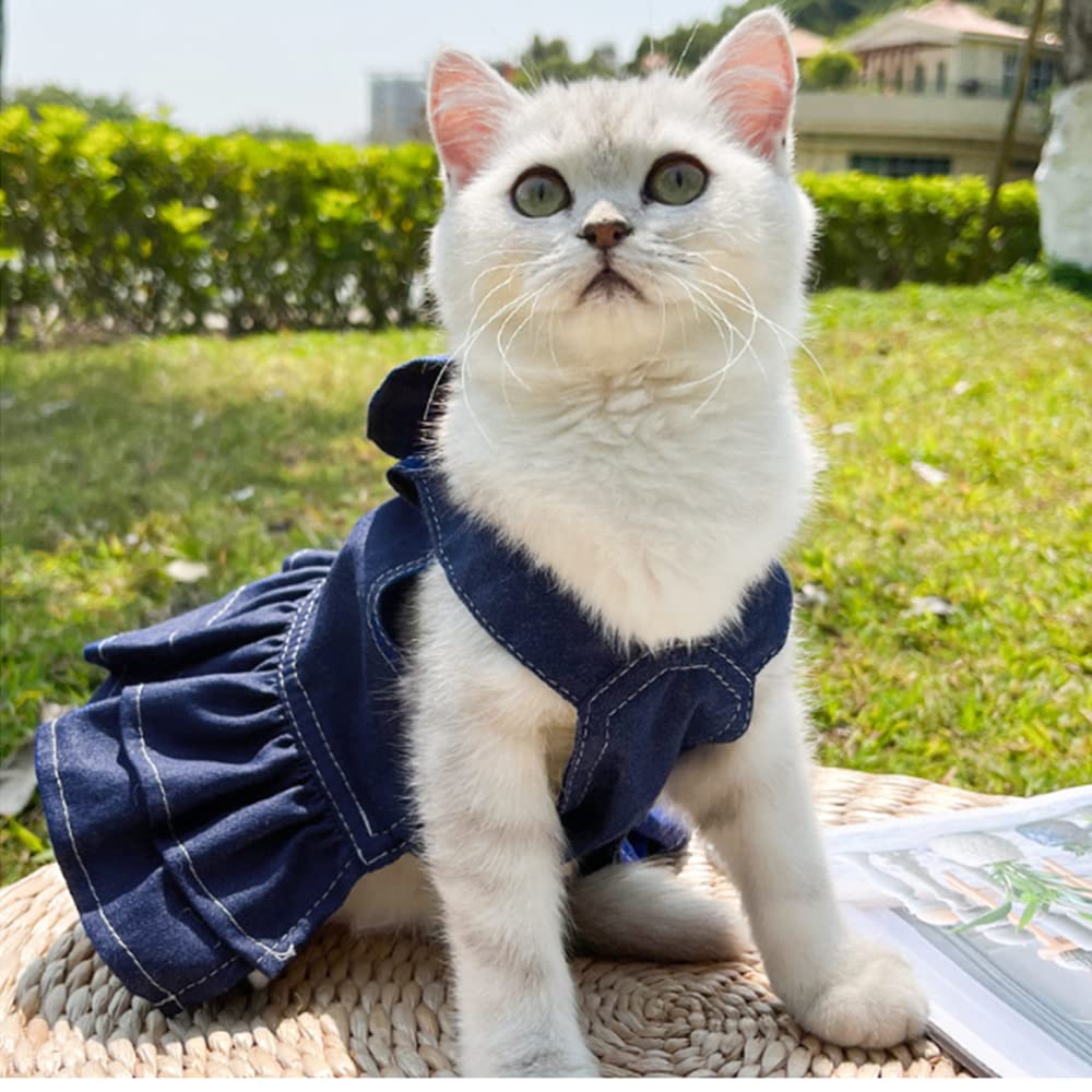 ANIAC denim dress back view shows D-ring for easy leash attachment.