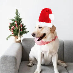 ANIAC dog hat stand design close-up showing 3D shape