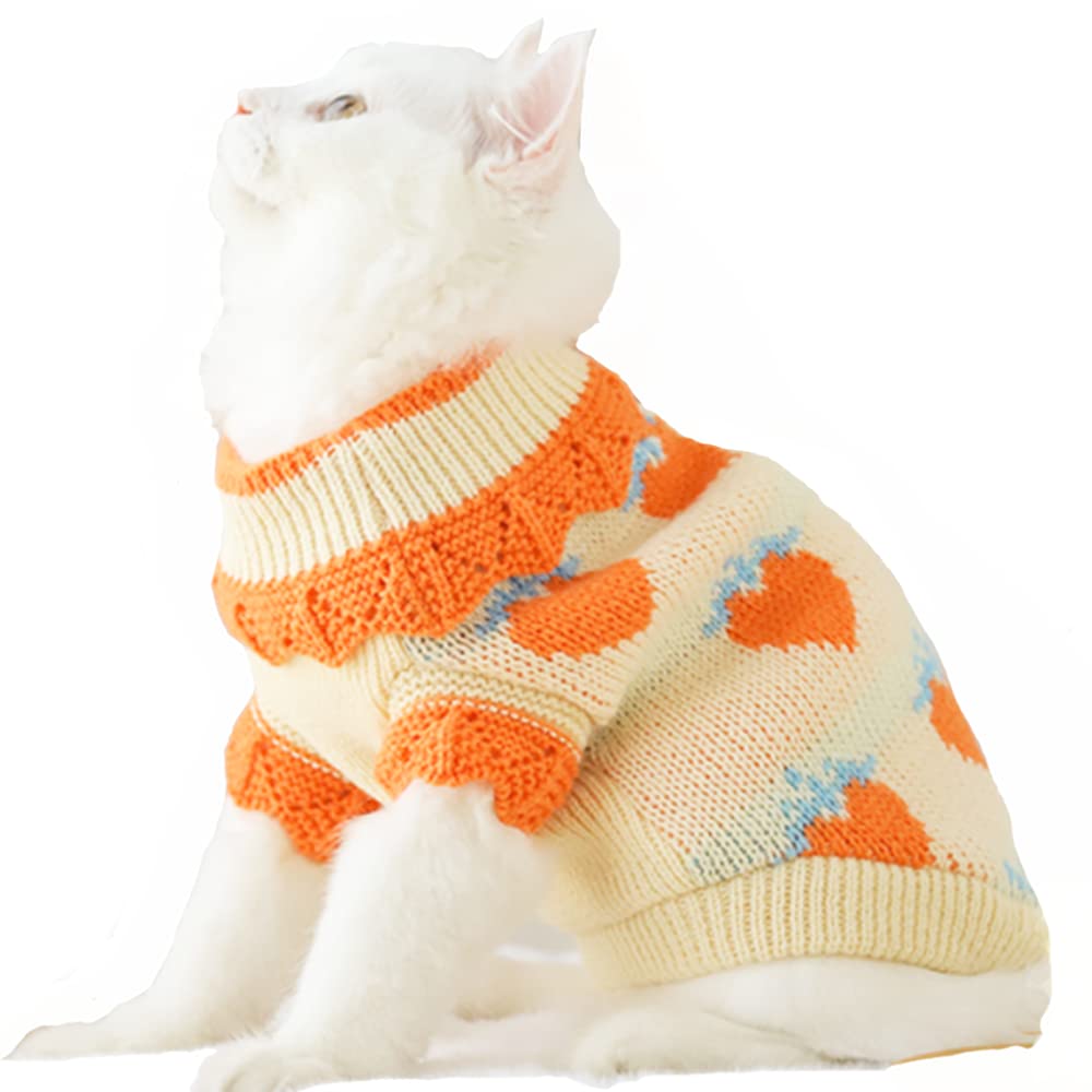 ANIAC fall dog sweater orange strawberry pattern closeup shows soft warmth for tiny dogs