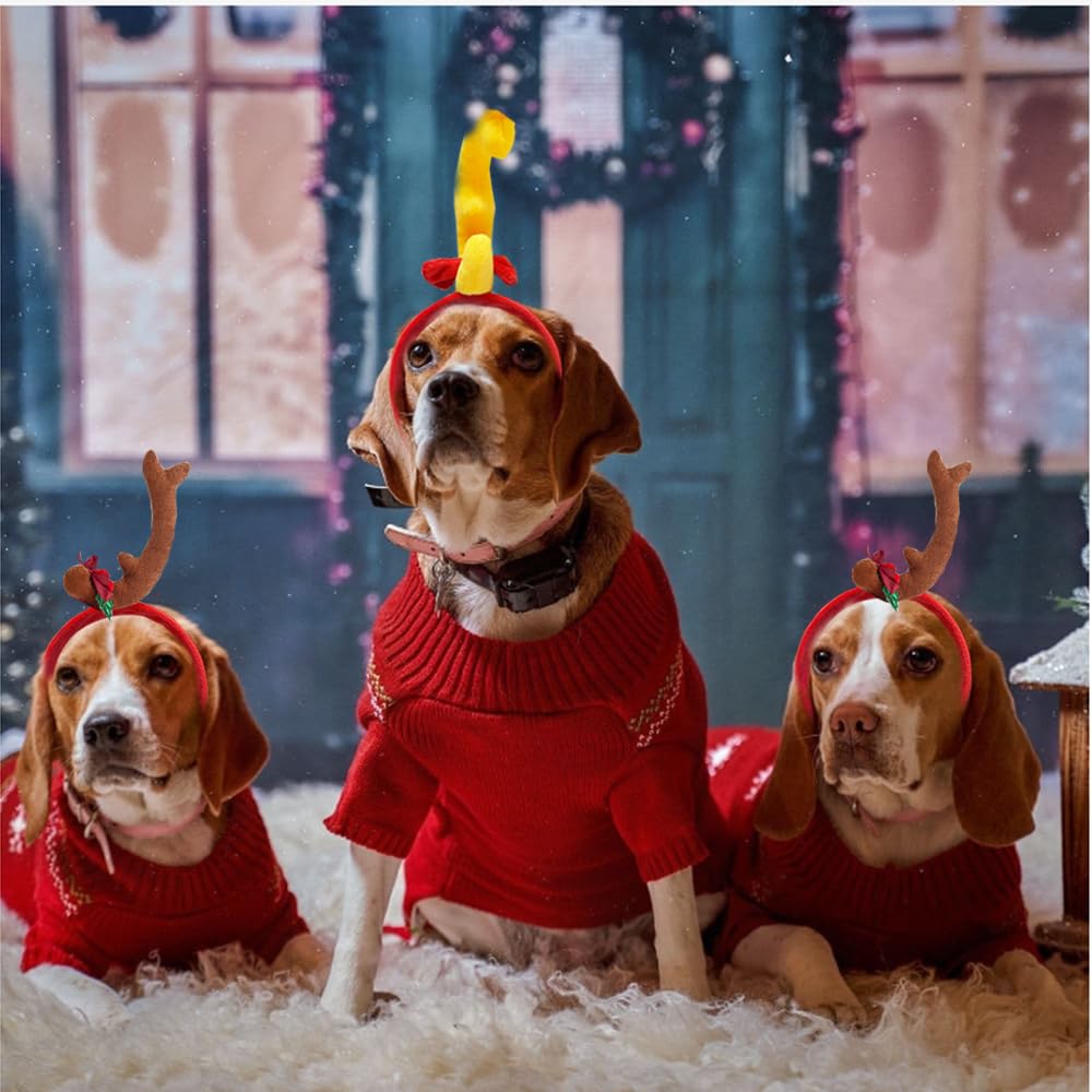 ANIAC large size headband fits small to large dogs for festive moments