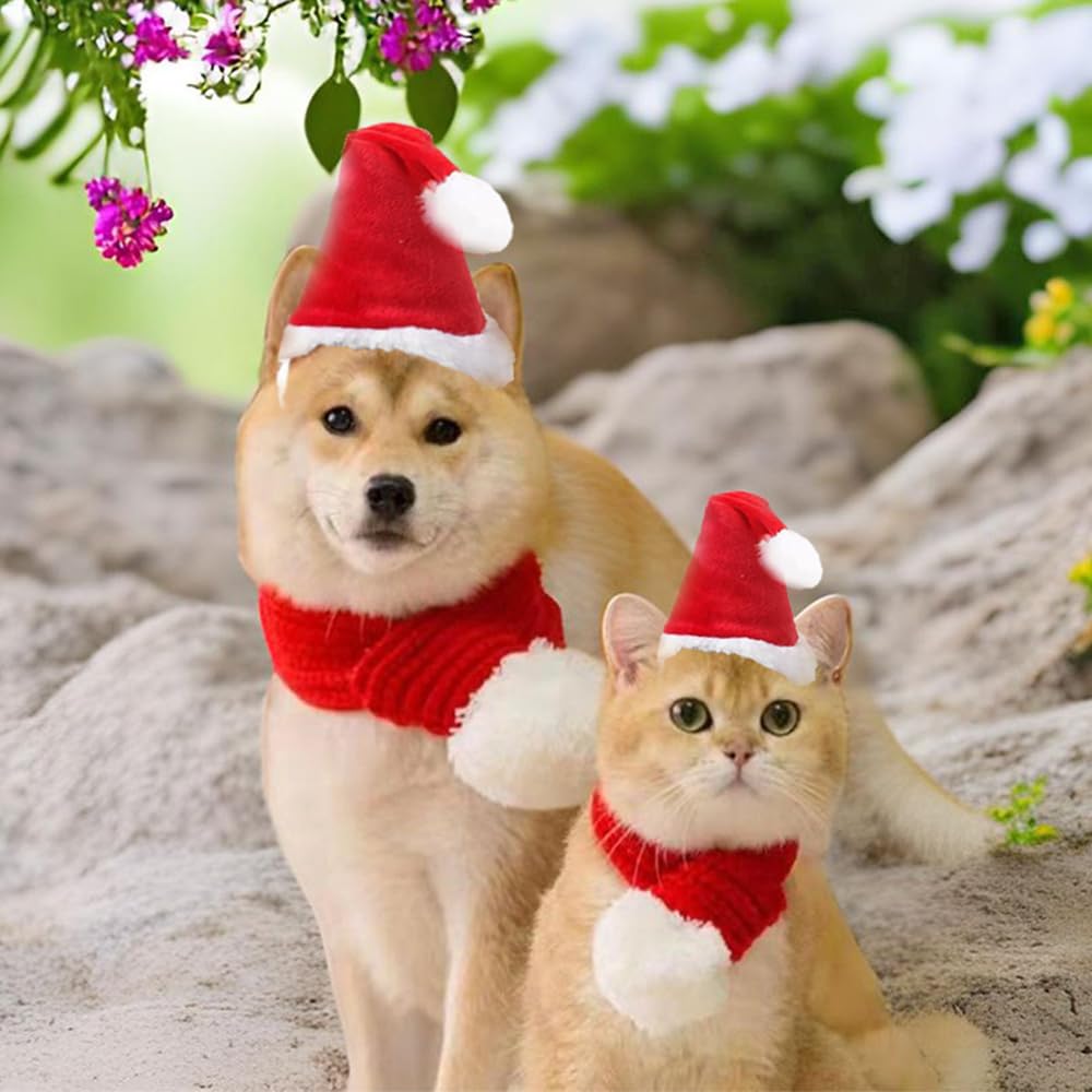ANIAC puppy winter outfit, durable acrylic scarf provides warmth.