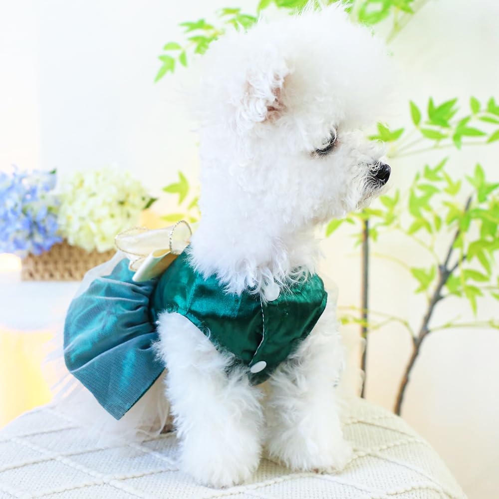ANIAC retro-dog-tulle-dress-green-wearable-life lets you photograph everyday moments.